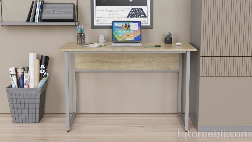 Письмовий стіл Ferrum-decor Коді 75x120x60 сірий ДСП Дуб Сонома 16мм (FRD-101662) FRD-101662 фото